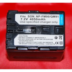 satkit Batterie compatible Sony NP-FM90 QM91 pour caméscopes et appareils photo numériques