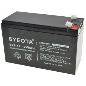 YourLed Batterie plomb 12V 9Ah rechargeable SY9-12 pour alarmes, balances et jouets