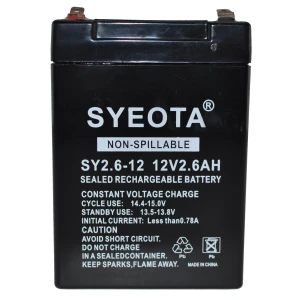 Batterie plomb rechargeable 12V 2.6Ah SY2.6-12 pour alarmes, balances et jouets
