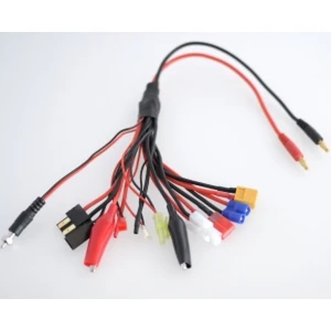 Câble chargeur multiple 12 en 1 pour batteries Lipo RC Amass