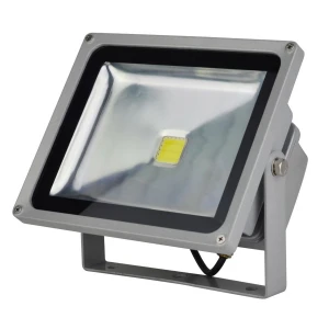 YourLed Projecteur LED 50W 6500K lumière brillante pour extérieur
